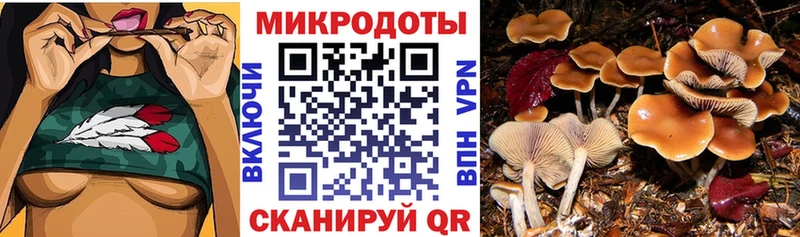 Купить где  Батайск  Псилоцибиновые грибы GOLDEN TEACHER 